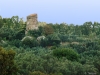 Tour Pagliaccetto à Torre in Pietra
